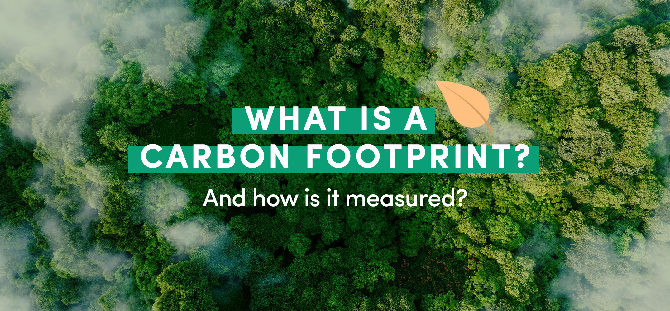 Carbon Blog